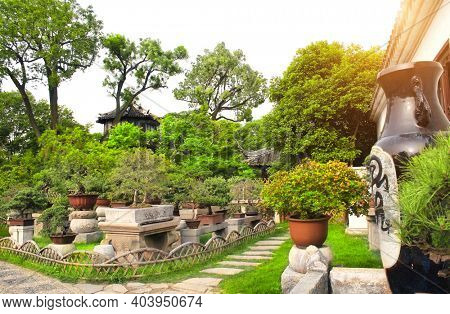 Garden of Bonsai in Humble Administrator's Garden, Suzhou, China