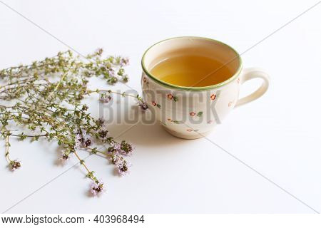 Thymus Pulegioides Tea And Leaves. Tea Is Effective During Diseases Of The Upper Respiratory Tract. 