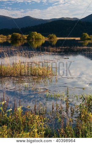 Lago das montanhas com arbustos