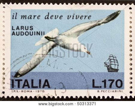 ITALY - CIRCA 1978: a stamp printed in Italy shows image of  Audouin's Gull (Ichthyaetus audouinii), Mediterranean and West Saharan coast species. Italy, circa 1978