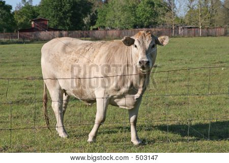 Don't Fence Me In