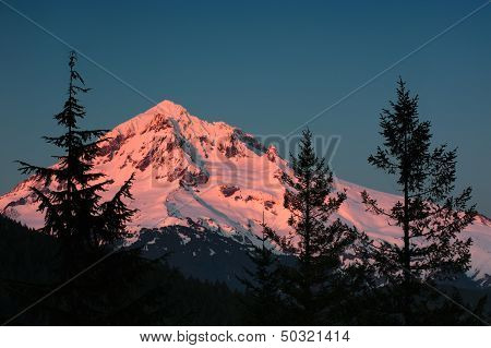 Alpenglow On Mt. Hood