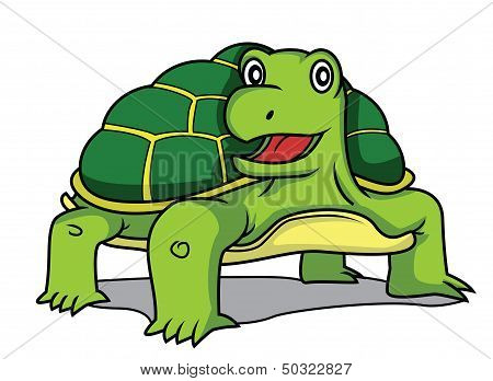 turtle