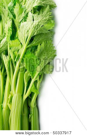 Celery with leaves intact, isolated on white. 