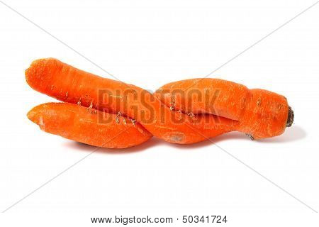 Double Carrot