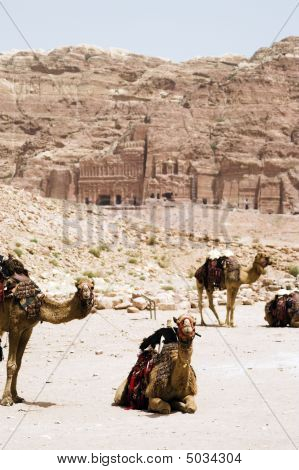 Руины Петры и гор в Иордании