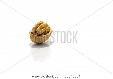 Walnut