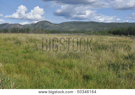 Swampy Plain Under The Blue Sky.