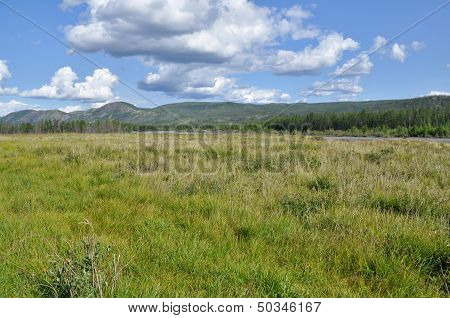 Swampy Plain Under The Blue Sky.