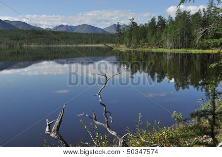 Landscape Of The Lake Sunny Day.