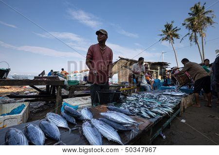 PADANG - AUGUST 25: Fishmonger waits for customers in a stall at an outdoor village market in Padang, West Sumatera, Indonesia on August 25, 2013. Resources from the sea is a major revenue earner.  