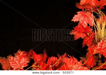 Autunno confine Ii