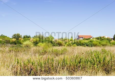 Coastline Near Seget Vranjica, Croatia