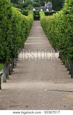 Splendid decorative gardens at castles in France