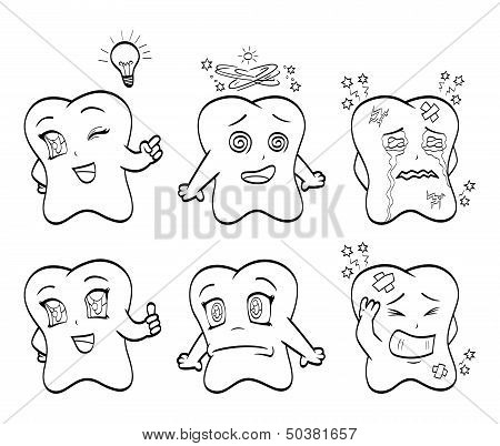 Teeth