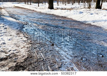 Slippery Road In Early Spring Forest