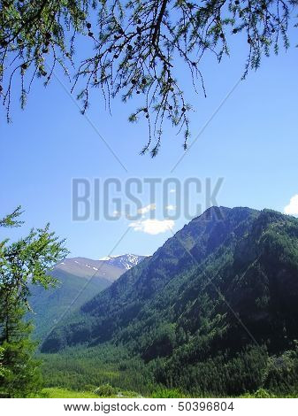 Altai mountains