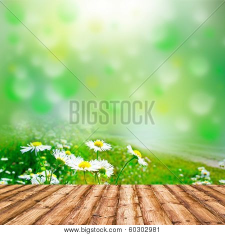 Background room interior. Fresh spring green and flowers field grass with green bokeh and sunlight and wood floor. 