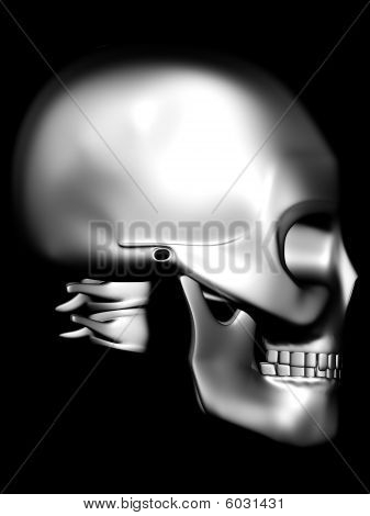 크롬 두개골의 측면 보기