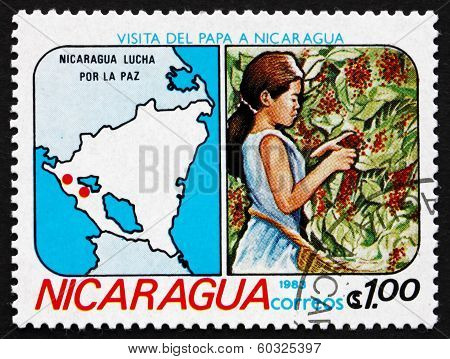 Postage Stamp Nicaragua 1983 Girl Picking Coffee Beans