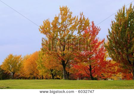 Herfst kleuren