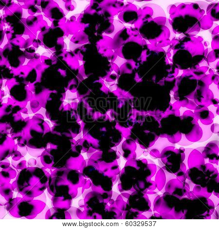 rendering of bacteria and virus