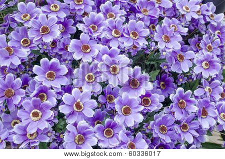 Set Of  Plastic Flower