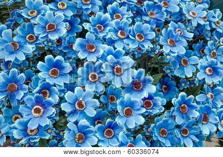 Set Of  Plastic Flower