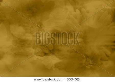 Kukka Background(sepia)