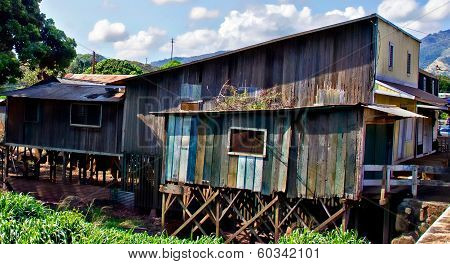 Tin Shack