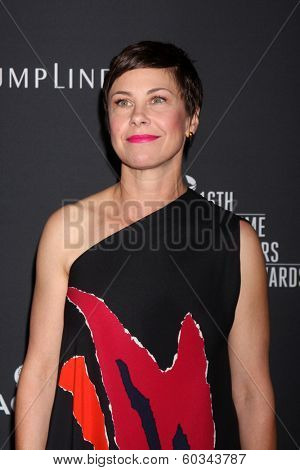 LOS ANGELES - FEB 22:  Nancy Steiner at the 16th Annual Costume Designer Guild Awards at Beverly Hilton Hotel on February 22, 2014 in Beverly Hills, CA