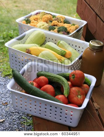 Gathering Home Harvest