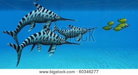 Eurhinosaurus Marine Reptile