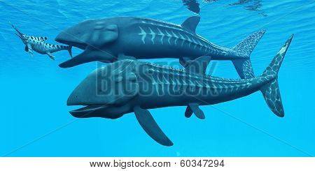 Leedsichthys Ocean Fish