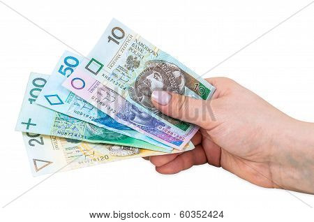 Hand Holding Polish Banknotes