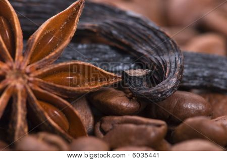 Aroma Kaffee. Zutaten. Coffe Beens, Anis, Vanille, Kardamom, Zimt