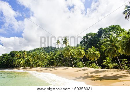 Englishman's Bay, Tobago