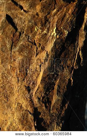 Orange Oxydation Texture