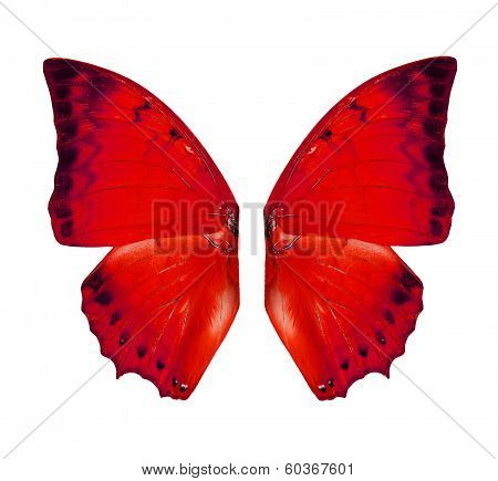 Red Butterfly Wings For Design Work, Angel Wings Isolated On White Background