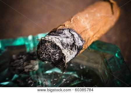 Expensive Hand-rolled Cigar On A While Background