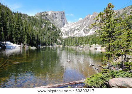 Rockies