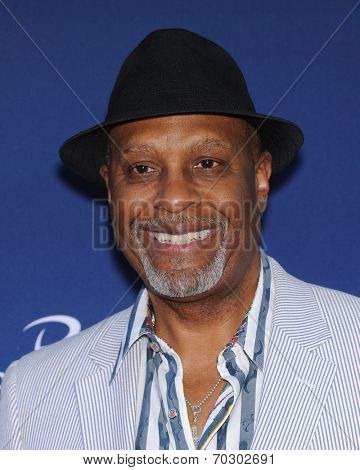 LOS ANGELES - APR 29:  James Pickens Jr. arrives to the 