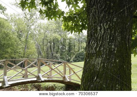Bridge