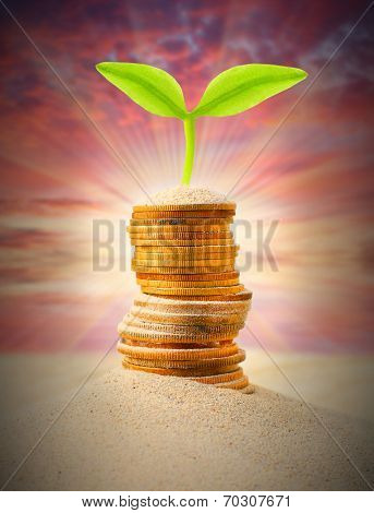 Investment in The Middle East. Business metaphor.