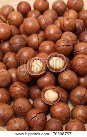 Macadamia nuts textue