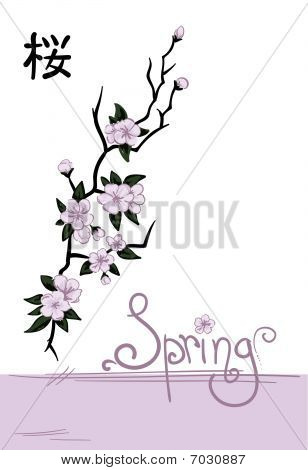 Sakura jarní pohádka