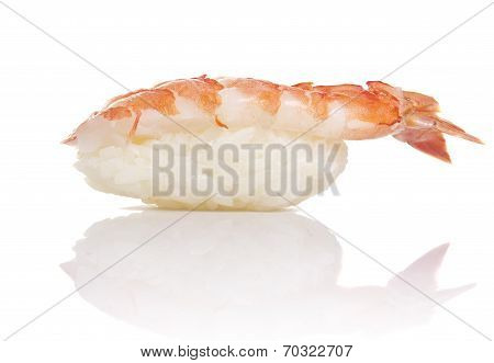 Shrimp Sushi Nigiri Isiolated On White Background