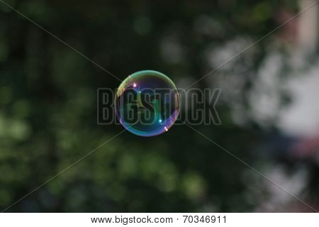 Soap Bubble