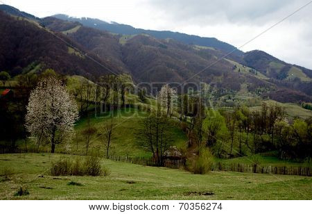 Cimpa village - the sheepfold