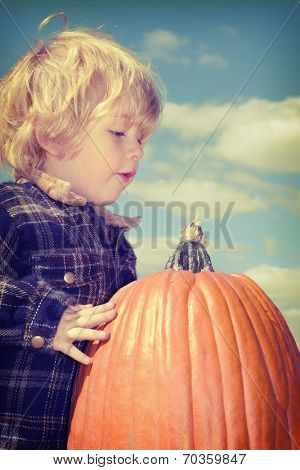 Toddler boy picking a big pumpkin